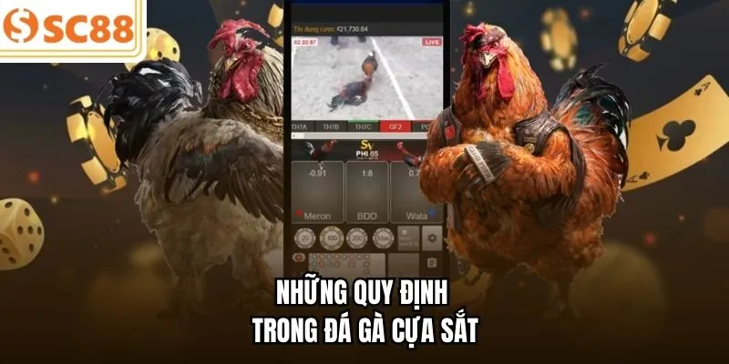 Những quy định trong đá gà cựa sắt